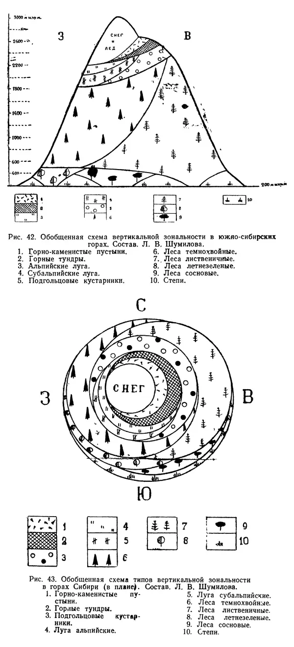 Людмила Шумилова - Ботаническая география Сибири - Страница № 185