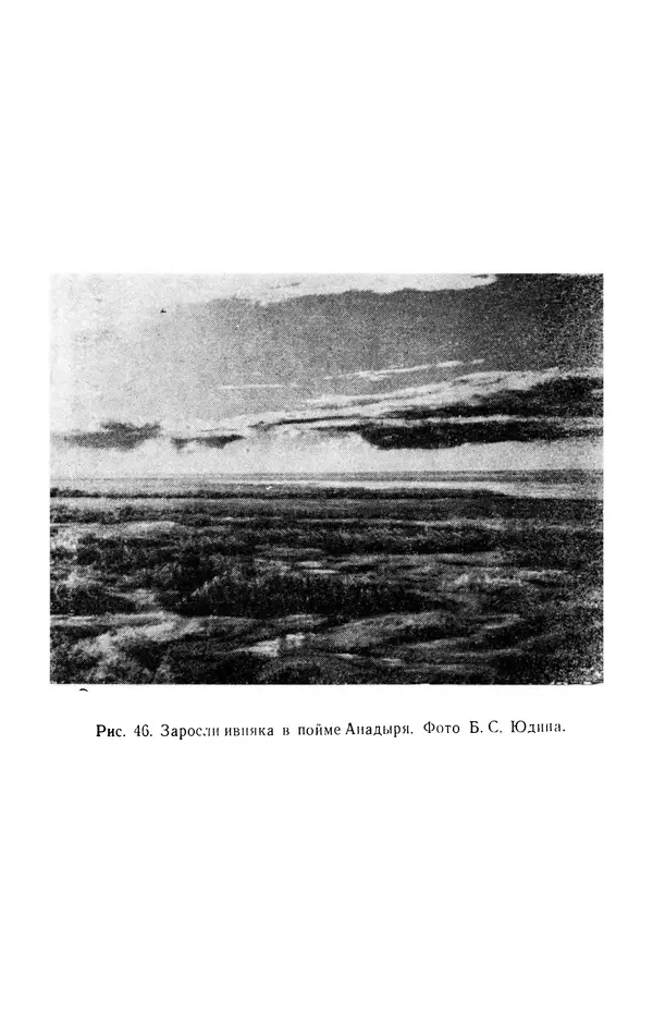 Людмила Шумилова - Ботаническая география Сибири - Страница № 221