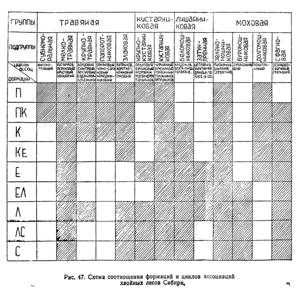 Людмила Шумилова - Ботаническая география Сибири - Страница № 248