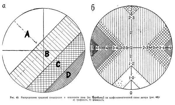 Людмила Шумилова - Ботаническая география Сибири - Страница № 252