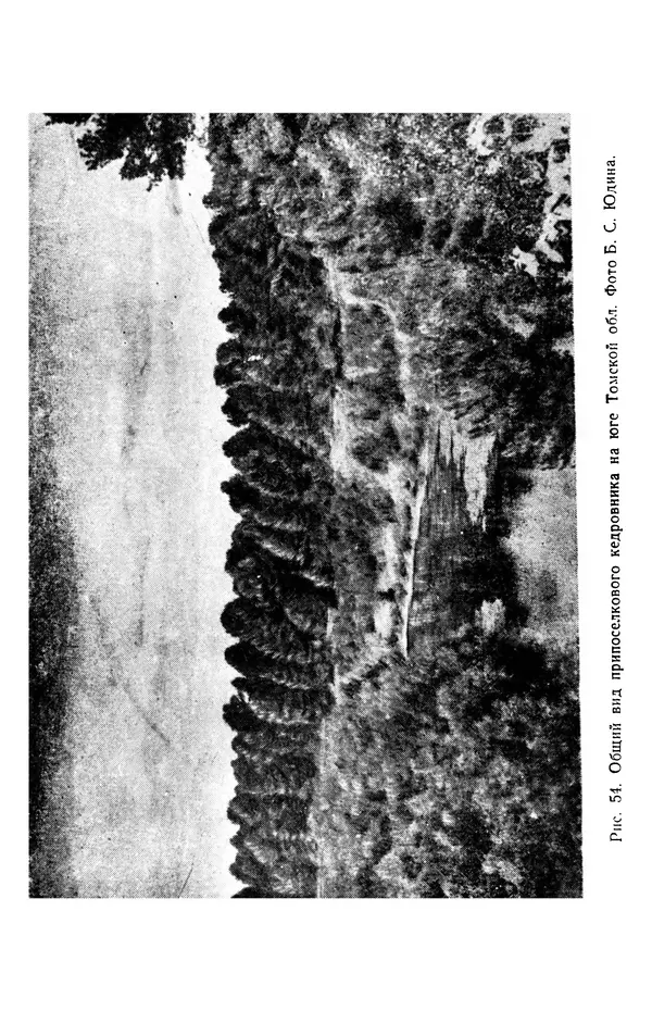 Людмила Шумилова - Ботаническая география Сибири - Страница № 309