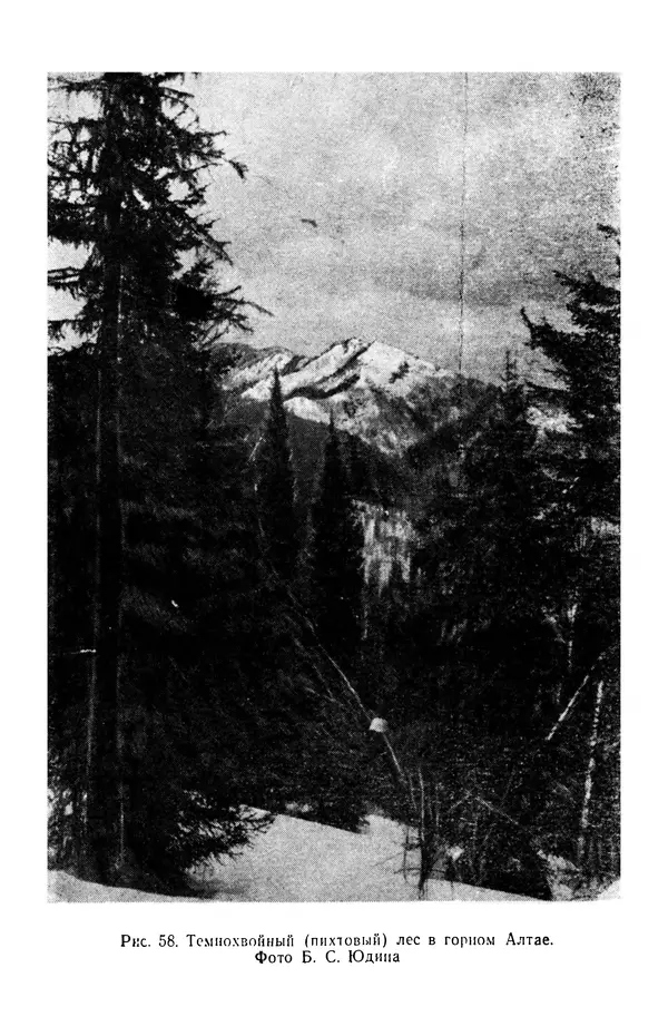 Людмила Шумилова - Ботаническая география Сибири - Страница № 312