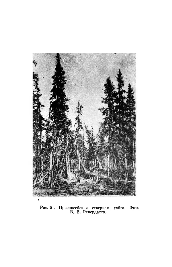 Людмила Шумилова - Ботаническая география Сибири - Страница № 315
