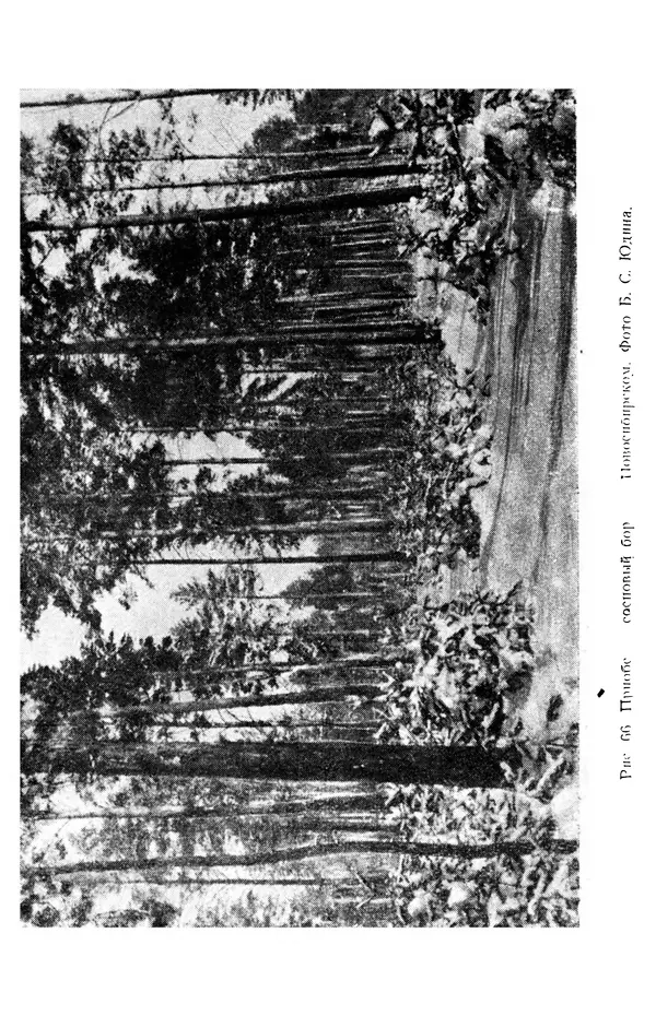 Людмила Шумилова - Ботаническая география Сибири - Страница № 320