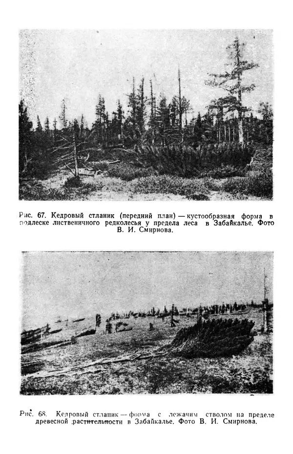 Людмила Шумилова - Ботаническая география Сибири - Страница № 321