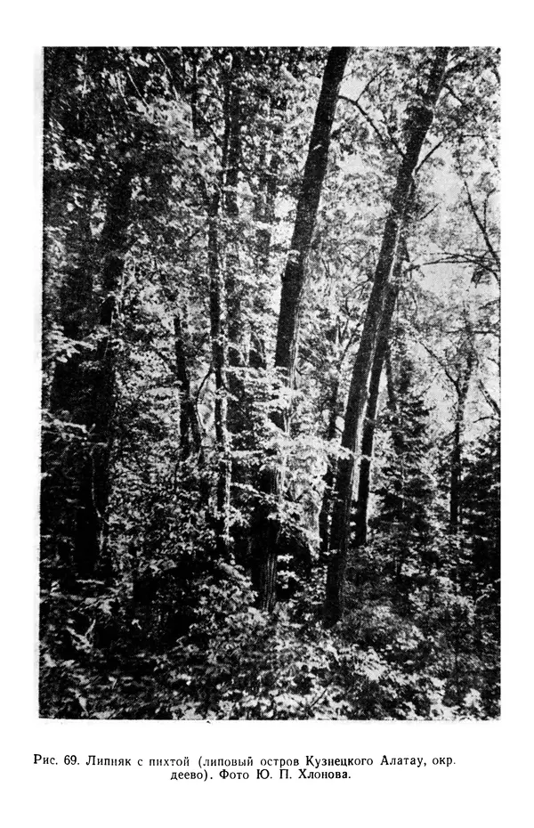 Людмила Шумилова - Ботаническая география Сибири - Страница № 322