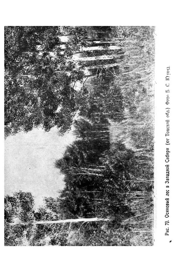 Людмила Шумилова - Ботаническая география Сибири - Страница № 323