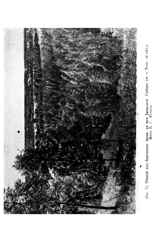 Людмила Шумилова - Ботаническая география Сибири - Страница № 324