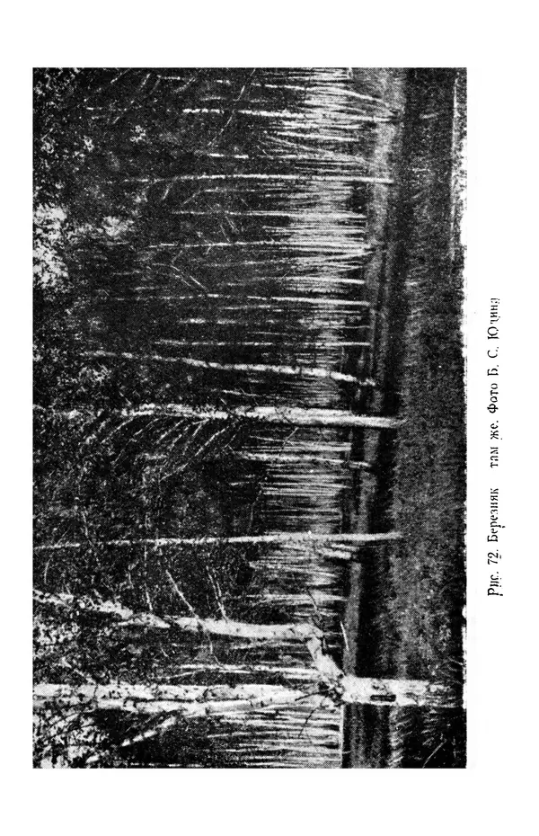 Людмила Шумилова - Ботаническая география Сибири - Страница № 325
