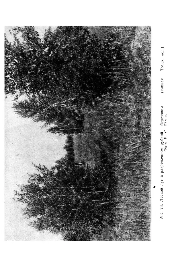 Людмила Шумилова - Ботаническая география Сибири - Страница № 326