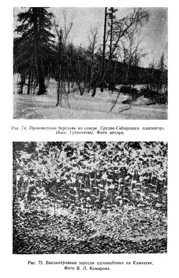 Людмила Шумилова - Ботаническая география Сибири - Страница № 327