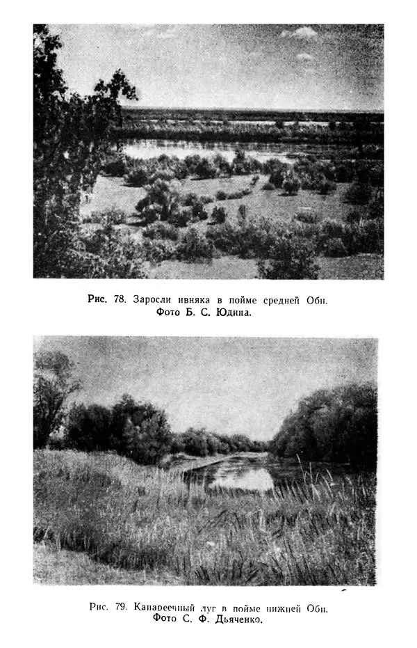 Людмила Шумилова - Ботаническая география Сибири - Страница № 329