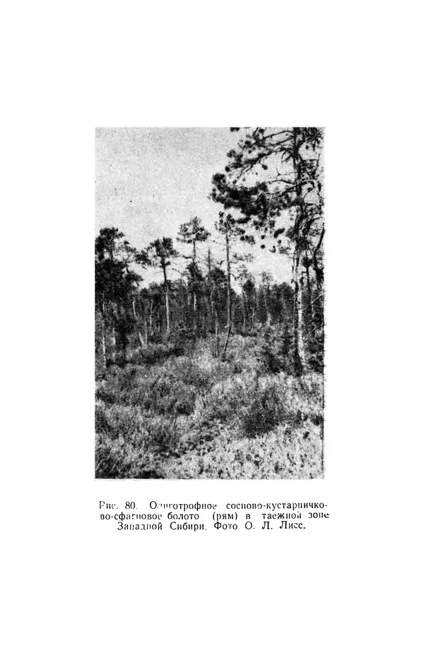 Людмила Шумилова - Ботаническая география Сибири - Страница № 330