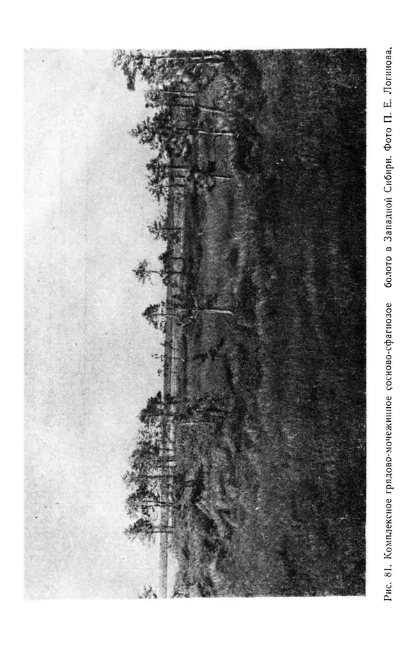 Людмила Шумилова - Ботаническая география Сибири - Страница № 331