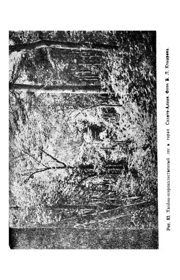 Людмила Шумилова - Ботаническая география Сибири - Страница № 347