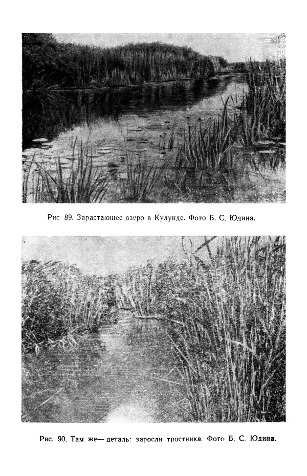 Людмила Шумилова - Ботаническая география Сибири - Страница № 385