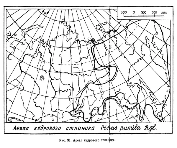 Людмила Шумилова - Ботаническая география Сибири - Страница № 400