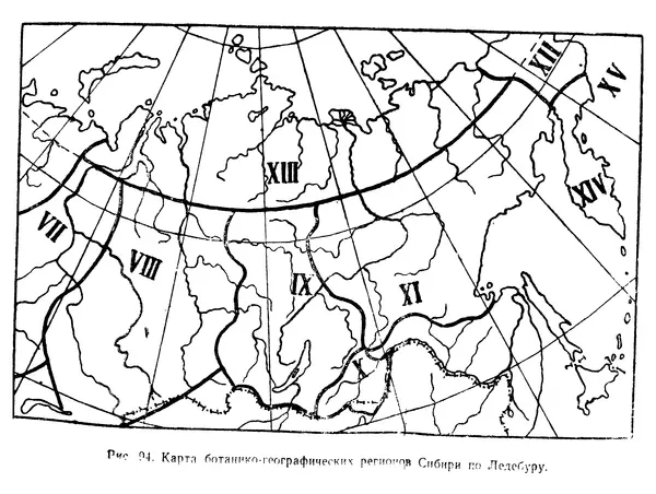 Людмила Шумилова - Ботаническая география Сибири - Страница № 418