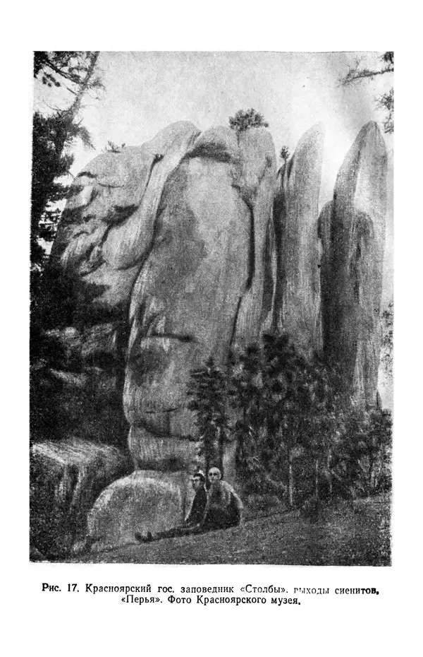 Людмила Шумилова - Ботаническая география Сибири - Страница № 72