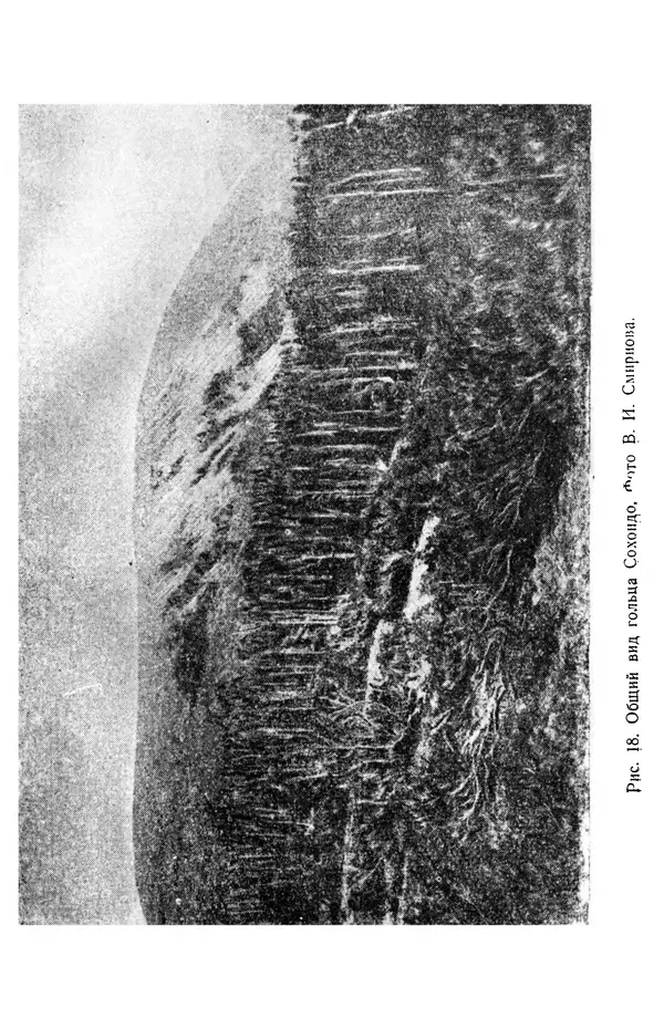 Людмила Шумилова - Ботаническая география Сибири - Страница № 73