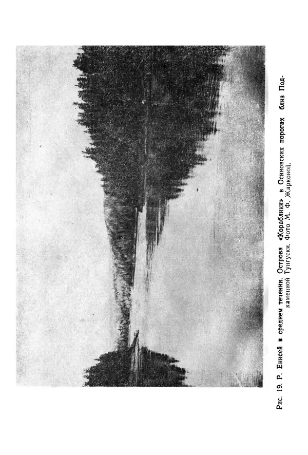 Людмила Шумилова - Ботаническая география Сибири - Страница № 74