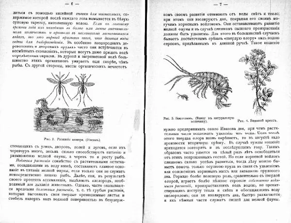 Эмиль Вальтеръ - Как развести рыбу в маленьких прудах - Страница № 9