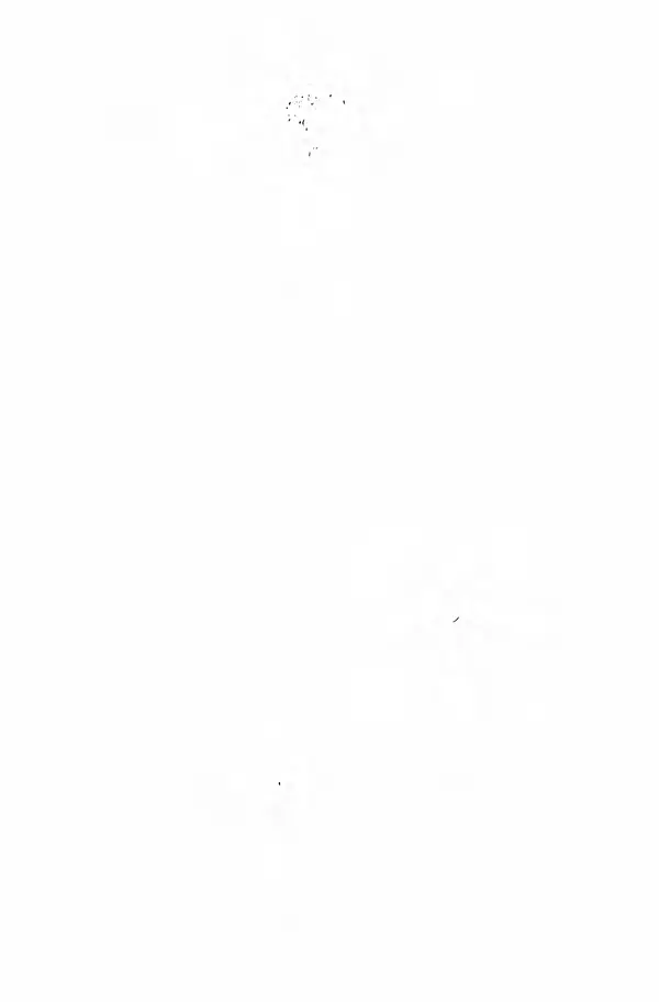 Марио Льоса - Латиноамериканська повість - Страница № 2