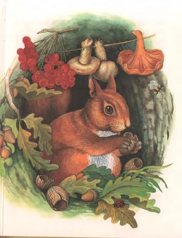 Софья Прокофьева - Ожерелье для Белоснежки - Страница № 25