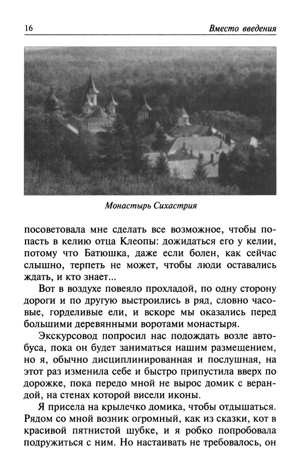  Автор неизвестен - Великий старец Клеопа, румынский чудотворец - Страница № 17