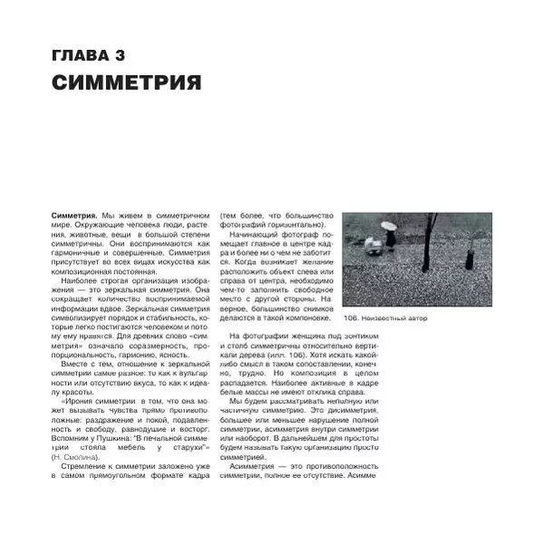 Александр Лапин - Фотография как - Страница № 63