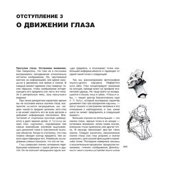 Александр Лапин - Фотография как - Страница № 111