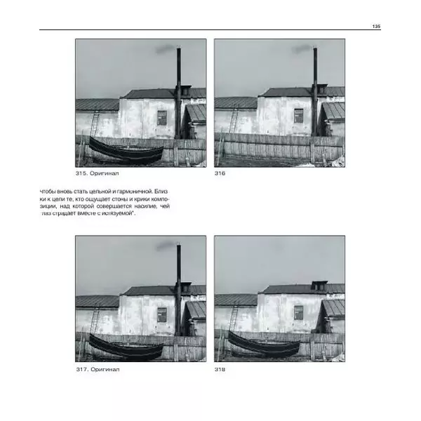 Александр Лапин - Фотография как - Страница № 136