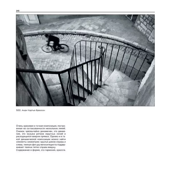 Александр Лапин - Фотография как - Страница № 241