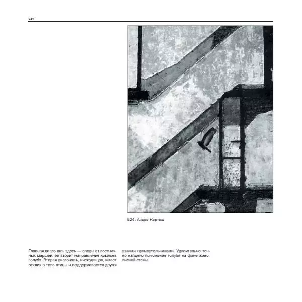 Александр Лапин - Фотография как - Страница № 243