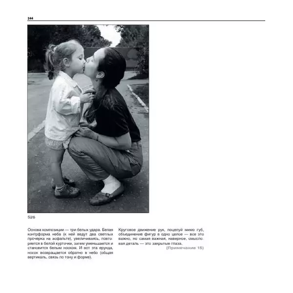 Александр Лапин - Фотография как - Страница № 245