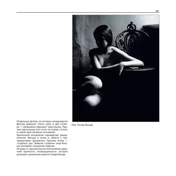 Александр Лапин - Фотография как - Страница № 252