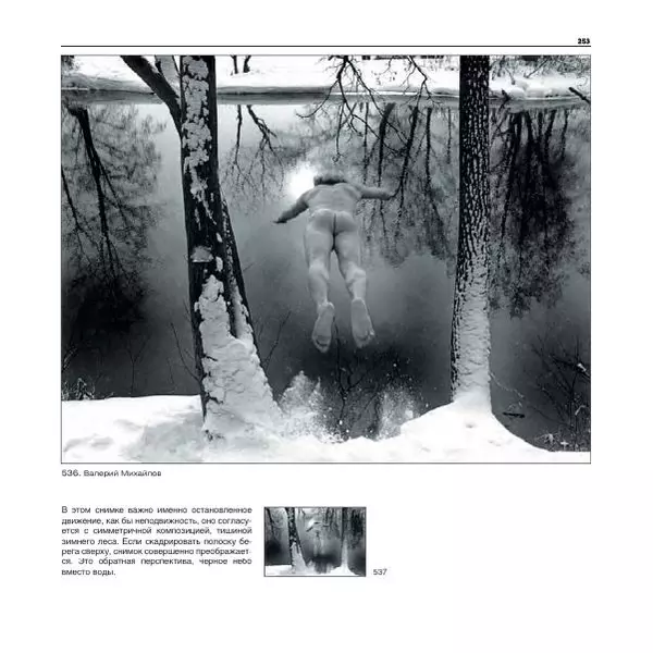 Александр Лапин - Фотография как - Страница № 254