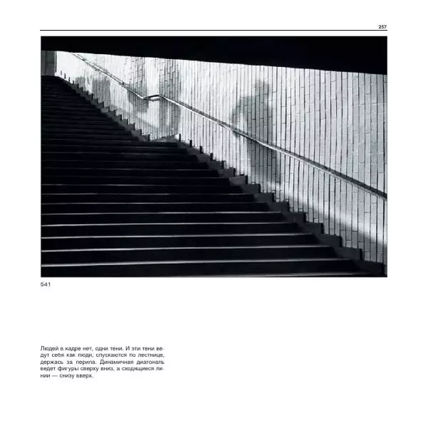 Александр Лапин - Фотография как - Страница № 258