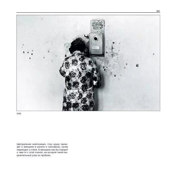 Александр Лапин - Фотография как - Страница № 262