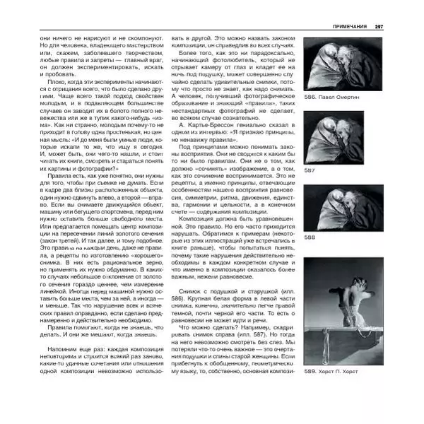 Александр Лапин - Фотография как - Страница № 298