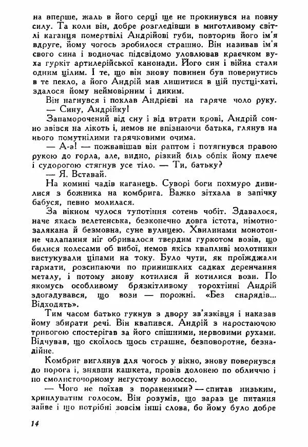Юрий Бедзик - Полки ідуть на переправу - Страница № 14