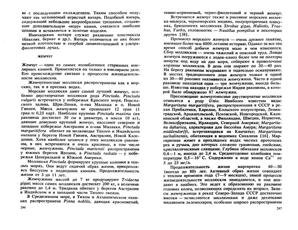 Никита Корнилов - Ювелирные камни - Страница № 158