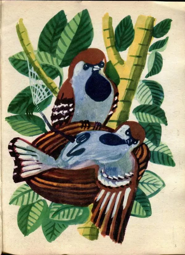 Василь Витка - Бабушкины гости - Страница № 7