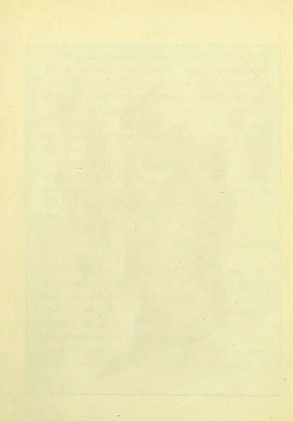 Александр Чеглок - Горе молодого Ндаро - Страница № 26