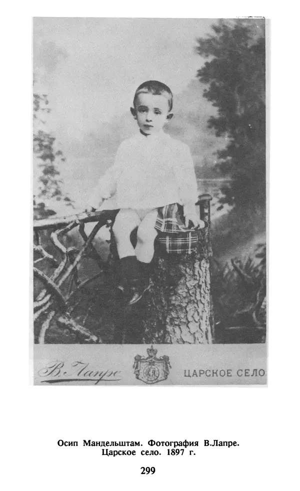 Осип Мандельштам - Собрание сочинений в 4 томах. Том 1 - Страница № 301