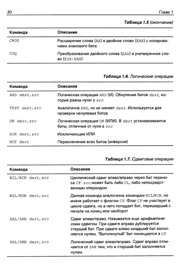 Владислав Пирогов - Ассемблер и дизассемблирование - Страница № 39