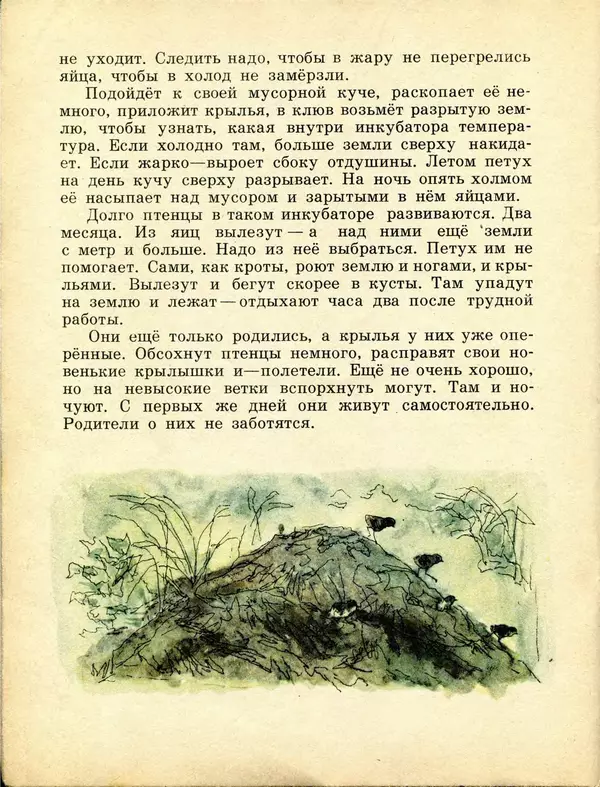 Игорь Акимушкин - Кто без крыльев летает - Страница № 26