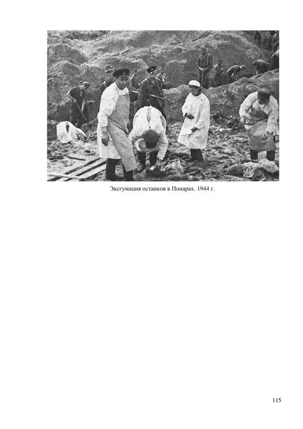 Рута Ванагайте - Наши - Страница № 117