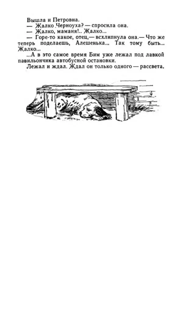 Лев Толстой - Друзья человека - Страница № 496