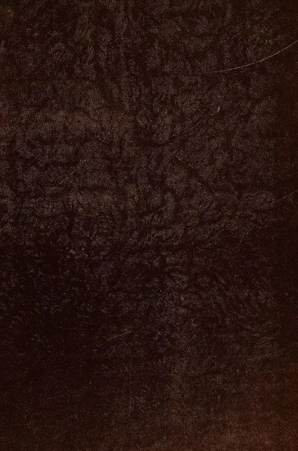 Даниэль Дефо - Жизнь и приключения Робинзона Крузо  - Страница № 2